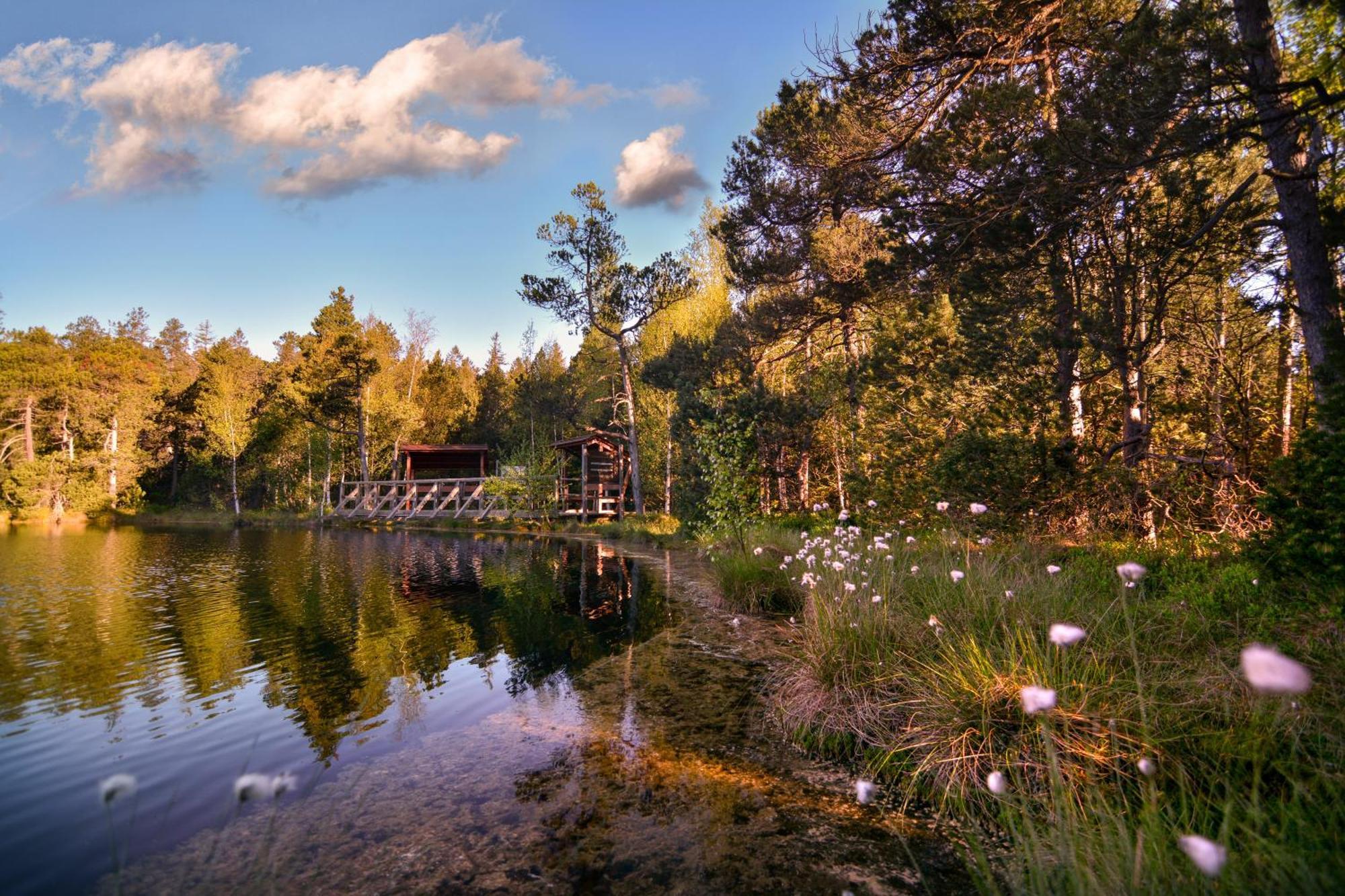Hotel Krizovy Vrch Jeseník Exteriör bild